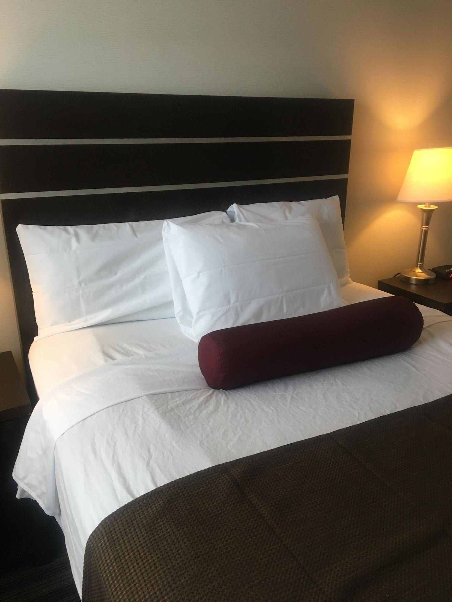 Hotel Super 8 By Wyndham Saskatoon Near Downtown Extérieur photo
